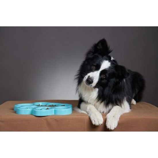 Red Dingo PetDreamHouse zpomalovací miska Paw Slow Feeder