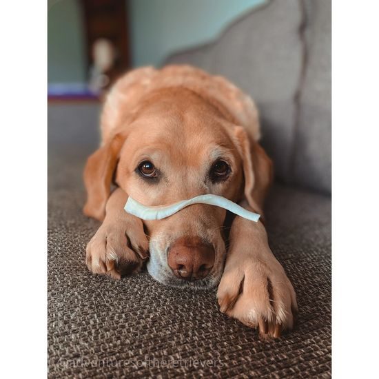 Soopa Pets Natural Chews Kokos 100 g