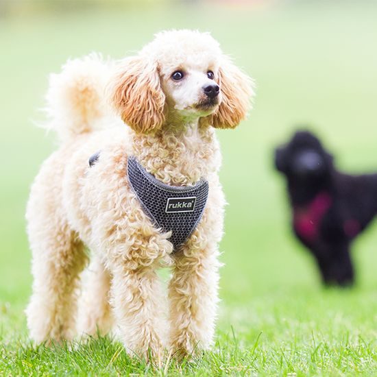 Rukka Comfort Air postroj