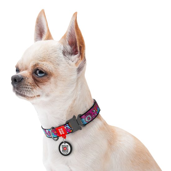 WAUDOG Obojek nylonový Summer QR fastex