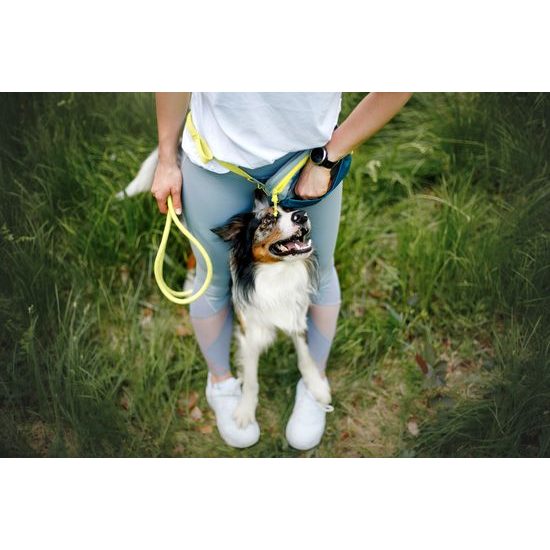 Woolly Wolf Alpha 360 Hip Pack