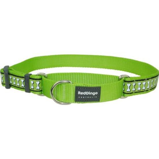 Red Dingo Obojek polostahovací 2cm x 33-50cm reflexní