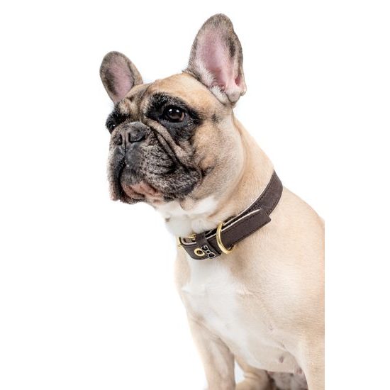 FUNKY DOG BROWN hnědý Piñatex obojek S 2,5 cm x 30-36 cm