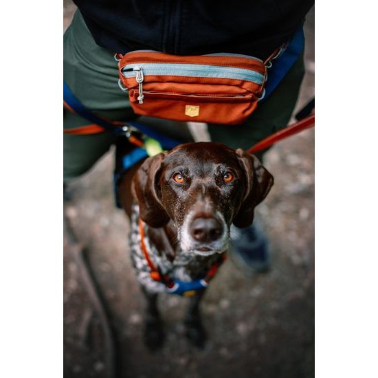 Woolly Wolf Alpha 360 Hip Pack
