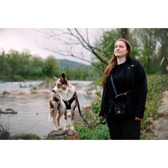 Woolly Wolf Roam Harness