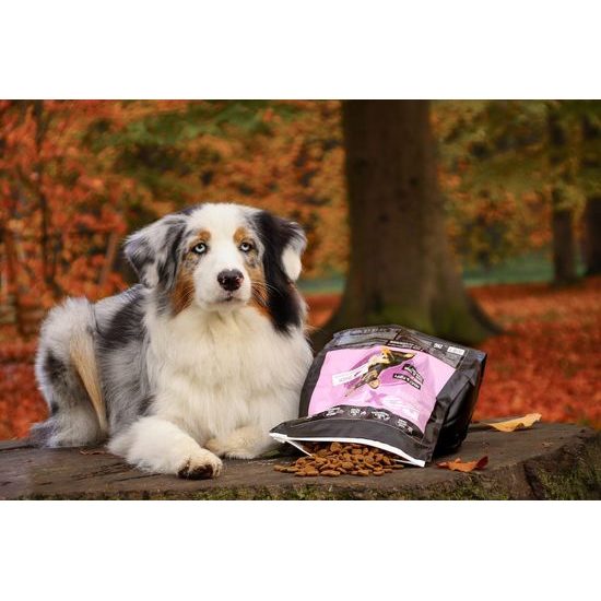 Doxneo Duck kachní bez obilovin 12kg