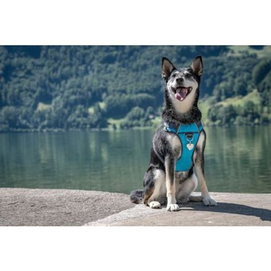 Red Dingo Postroj polstrovaný XS 31-43cm