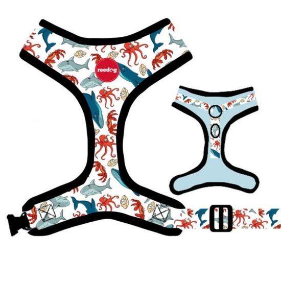 Reedog Kšíry pro psa SEA