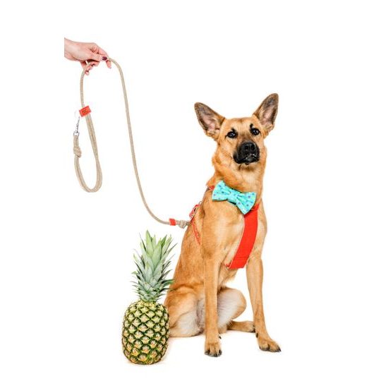 FUNKY DOG Červené lněné vodítko