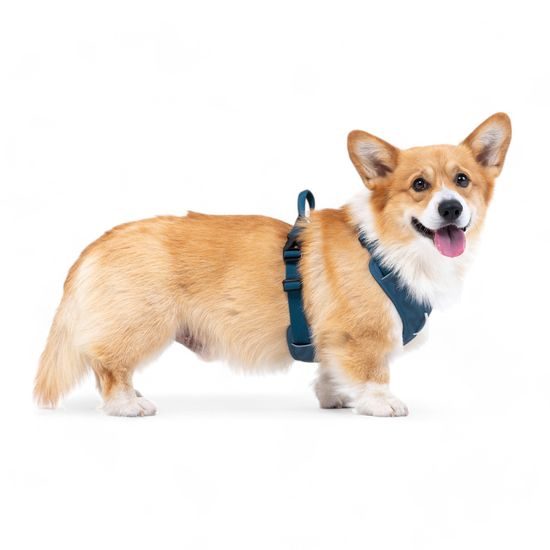 Woolly Wolf Roam Harness