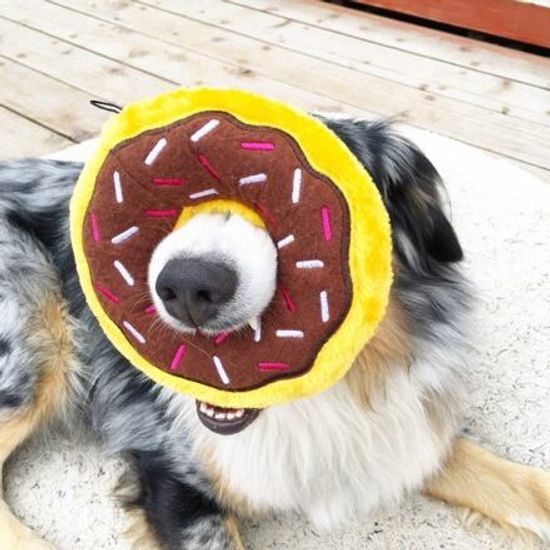 ZippyPaws Donutz