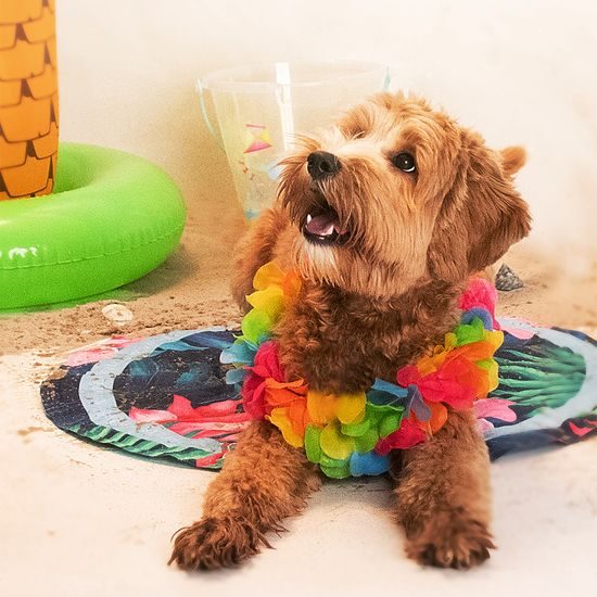 CoolPets Gelová chladící podložka Tropical 60cm