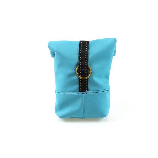 Aminela pamlskovník tyrkysový