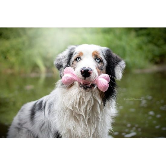 Amarago eco friendly hračka pro psy kost velká růžová z TRP pěny 15cm/76g