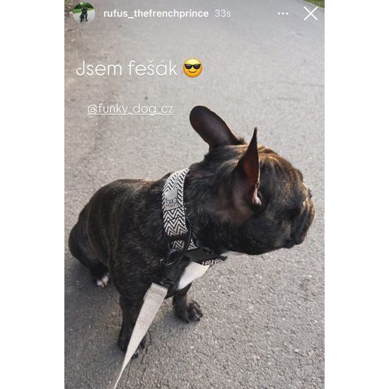 FUNKY DOG Široký 4cm obojek pro psa eco-friendly