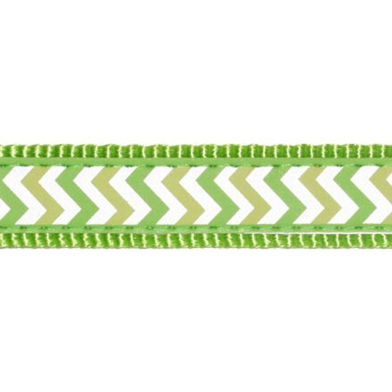 Red Dingo Vodítko 2,5cm x 1,8m reflexní