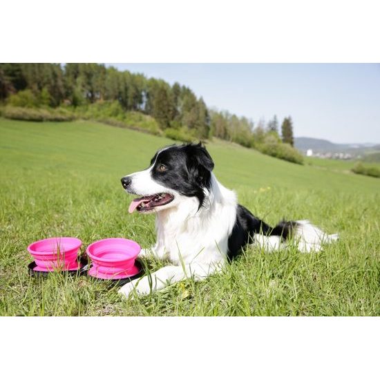 KIWI WALKER Cestovní zpomalovací dvojmiska SLOWFEEDER 700 ml