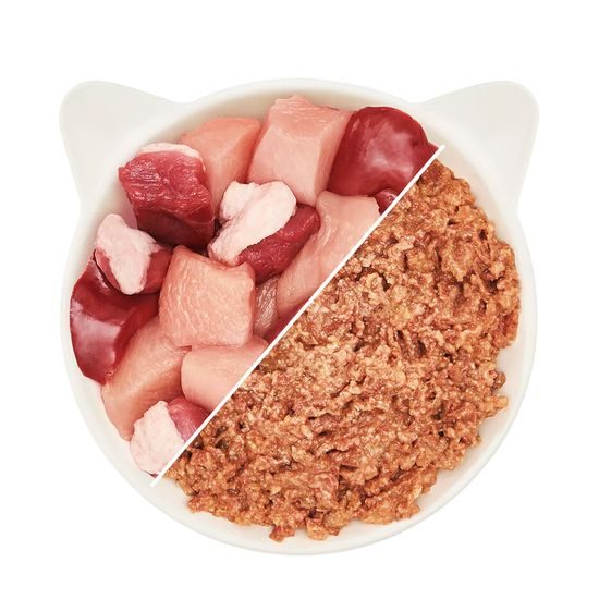 WOW Cat Kapsička Paté Drůbež s kachnou Senior 125g