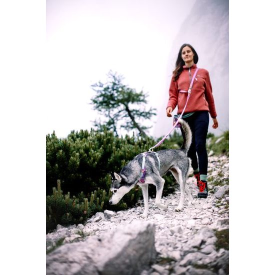 Woolly Wolf Color Block Multi-Use Leash