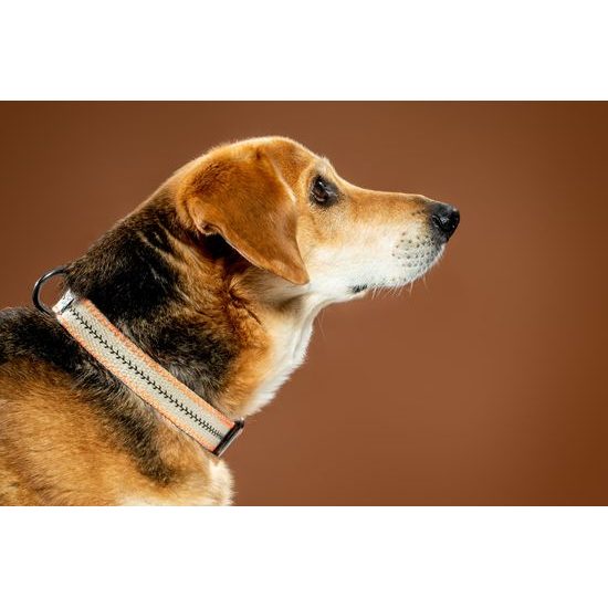 FUNKY DOG Konopný ekologický obojek pro psa