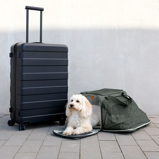 PALOPA Travel Carrier Bag Benno dark olive