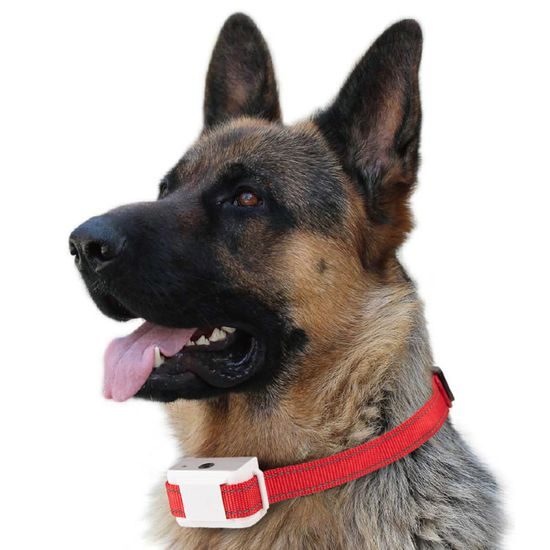 Patpet Protištěkací obojek B490