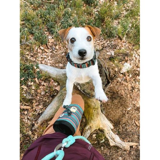 Woolly Wolf Woodland Snack Bag