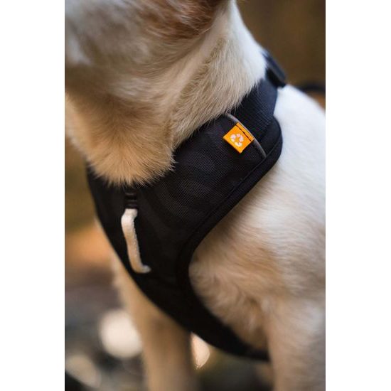 Woolly Wolf Roam Harness