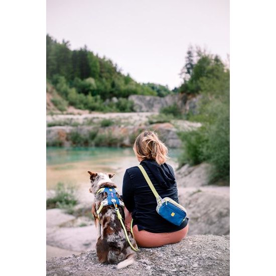 Woolly Wolf Alpha 360 Harness