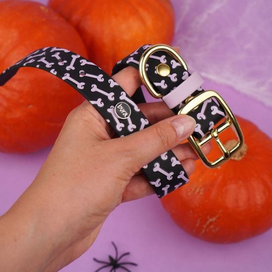 Bura Obojek černý kostičky