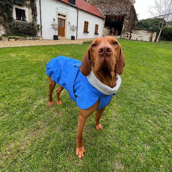 FUNKY DOG Pláštenka pro psa Modrá