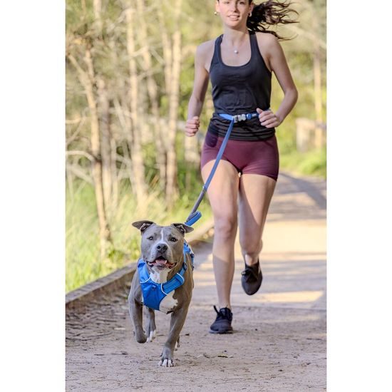 Red Dingo vodítko SuperLead Running Hi-Vis Peach 20 mm x 2,25 m