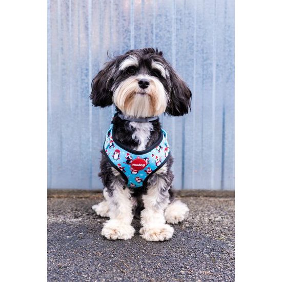 Reedog Kšíry pro psa PENGUIN