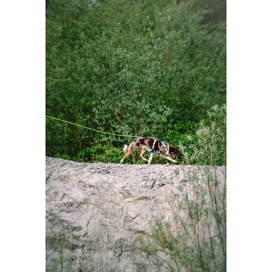 Woolly Wolf Long Rope Leash