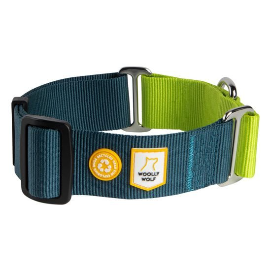 Woolly Wolf Color Block Martingale Collar