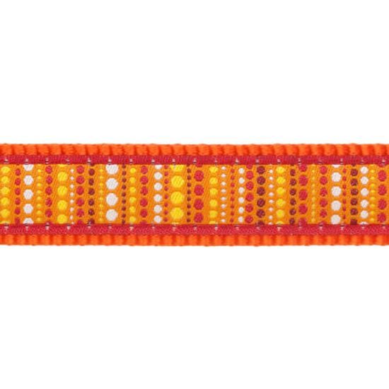 Red Dingo Postroj 20 mm x 45-66 cm Lotzadotz Orange