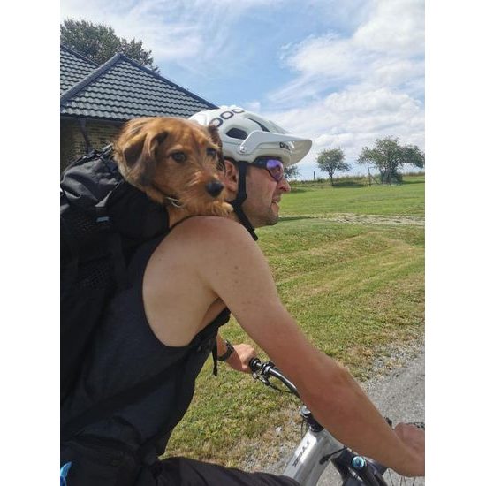 K9 sports sack Knavigate batoh pro psa do 23 kg