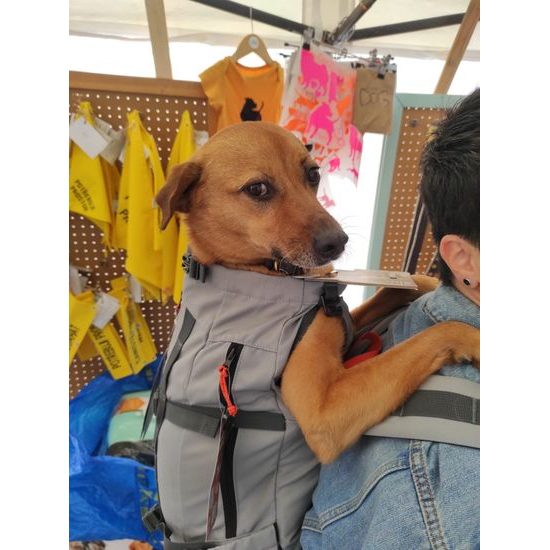 K9 sports sack Urban 3 batoh pro psa do 18 kg