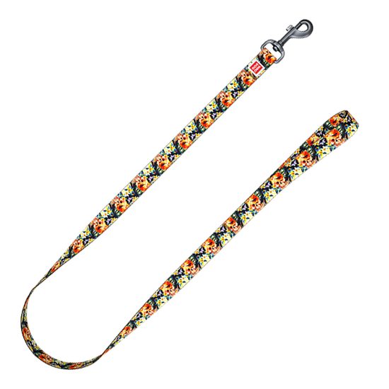 WAUDOG Vodítko nylonové Elegantní lebka 122cm/1,5cm