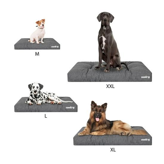 Reedog Matrace Grand Light Grafit