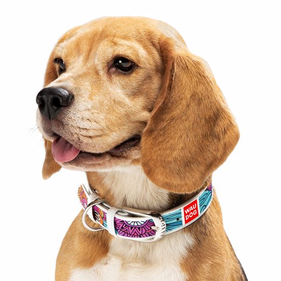 WAUDOG Obojek kožený Summer