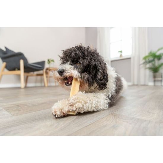 Trixie Chewing Cheese žvýkací sýrová tyč M: 13.5 cm 75 g