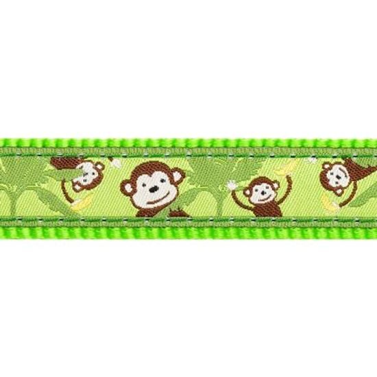 Red Dingo Vodítko přepínací 20 mm x 2 m Monkey Lime Green