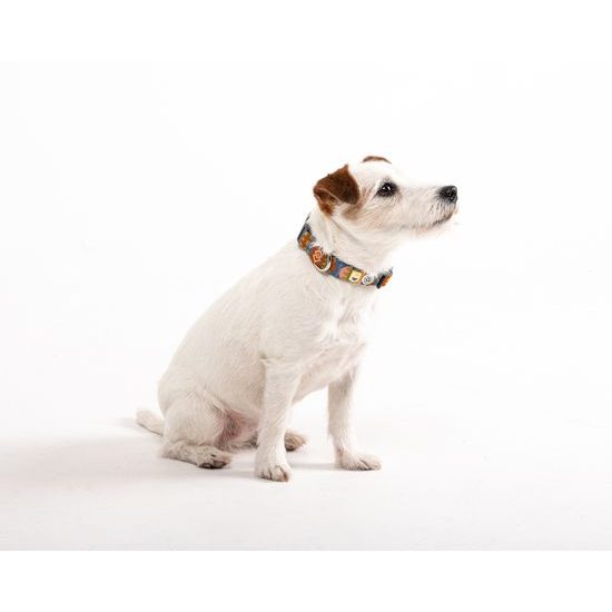 Woolly Wolf Nightless Night Collar