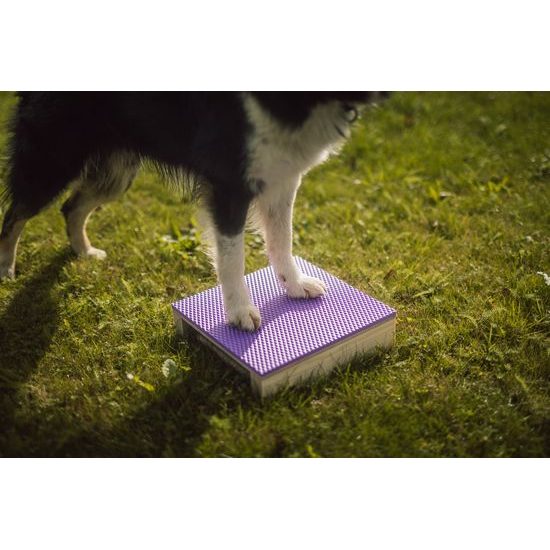 Løype Target Hamtal Markfit