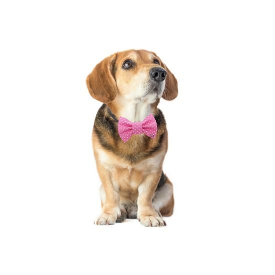 FUNKY DOG Růžová mašlička pro feny