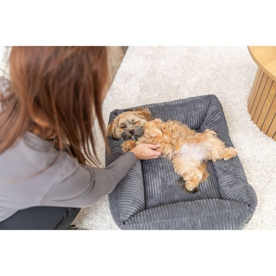 Trixie Vital Bed JONNA ortopedický obdélníkový pelech 120 x 80 cm manšestrový plyš tmavě šedá