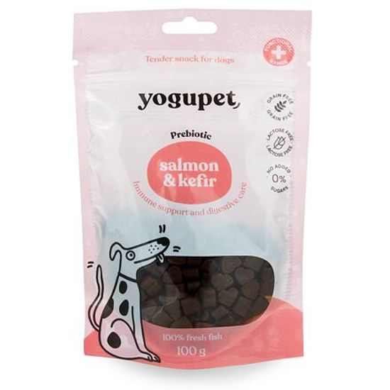 Yogupet Snack pro psy s lososem a kefírem 100 g