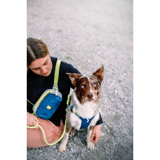 Woolly Wolf Alpha 360 Hip Pack