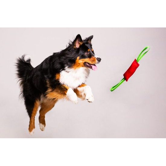 BAFPET Pešek RINGO 2x ucho červená